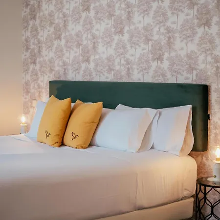 Cetina Palacio Ayala Berganza 4* Segovia