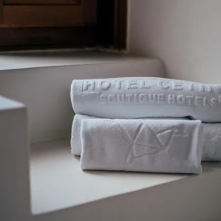 Cetina Palacio Ayala Berganza 4*