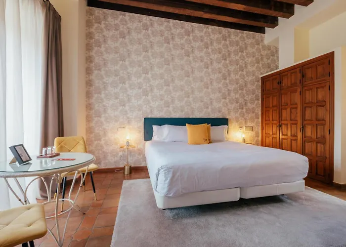 Отель Cetina Palacio Ayala Berganza 4*