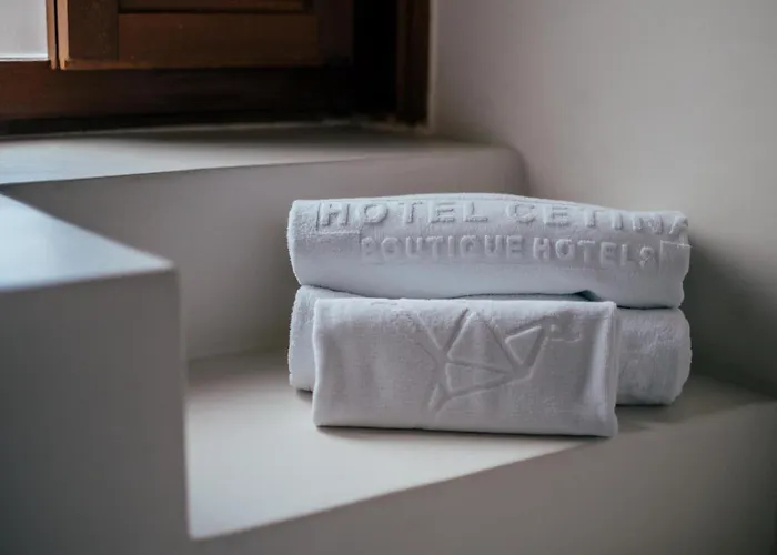 Cetina Palacio Ayala Berganza 4*