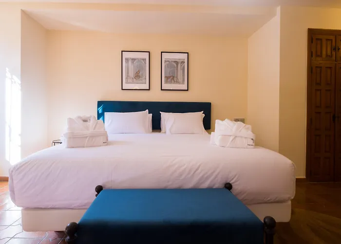 Cetina Palacio Ayala Berganza